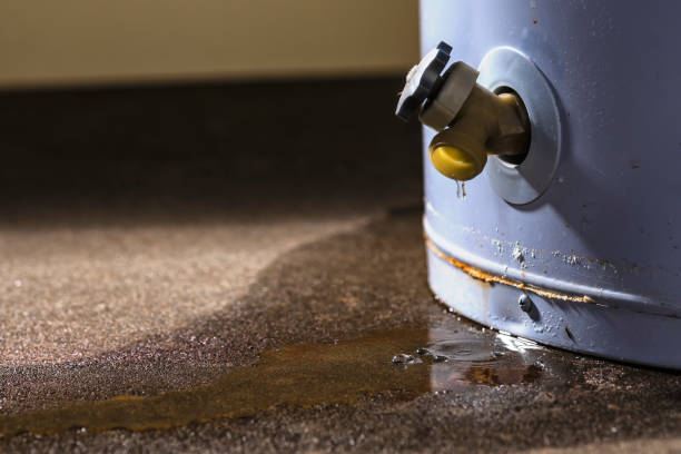  Bell, CA Water damage restoration Pros