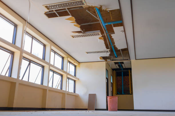 Best Water damage restoration process  in Bell, CA