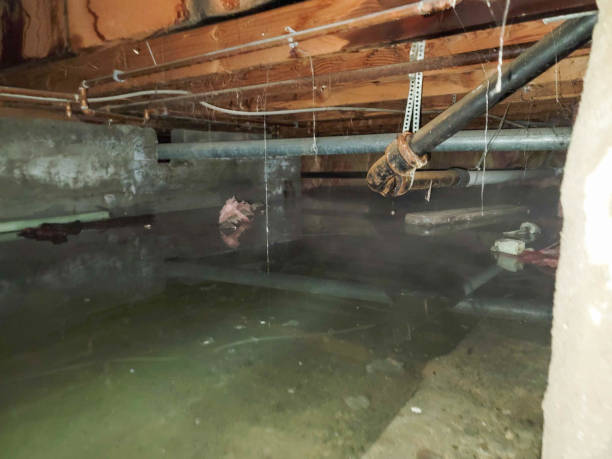 Best 24-hour water damage restoration  in Bell, CA