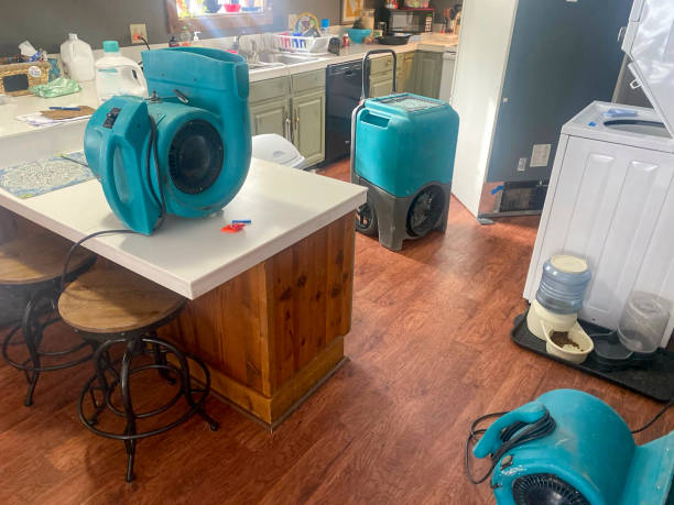  Bell, CA Water damage restoration Pros