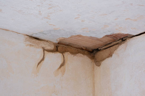 Best Flood restoration services  in Bell, CA