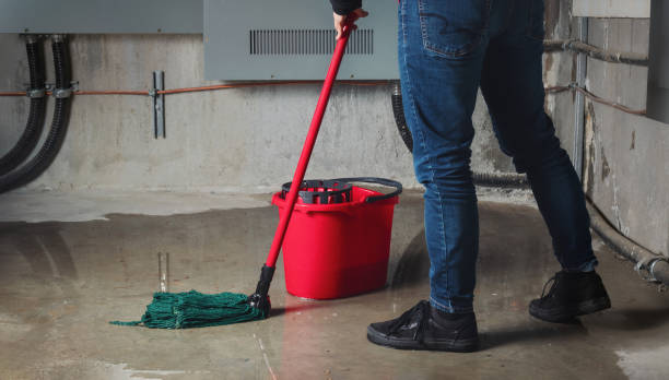 Best 24/7 water damage repair  in Bell, CA