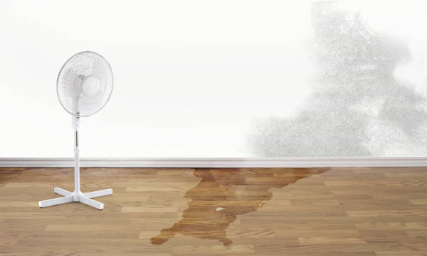Best Water damage restoration company  in Bell, CA