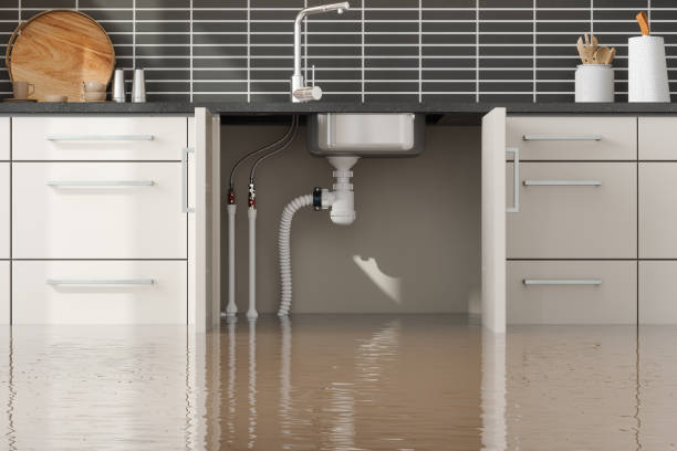 Best Water damage cleanup near me  in Bell, CA