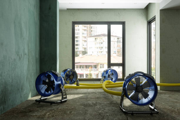 Best Flood restoration services  in Bell, CA